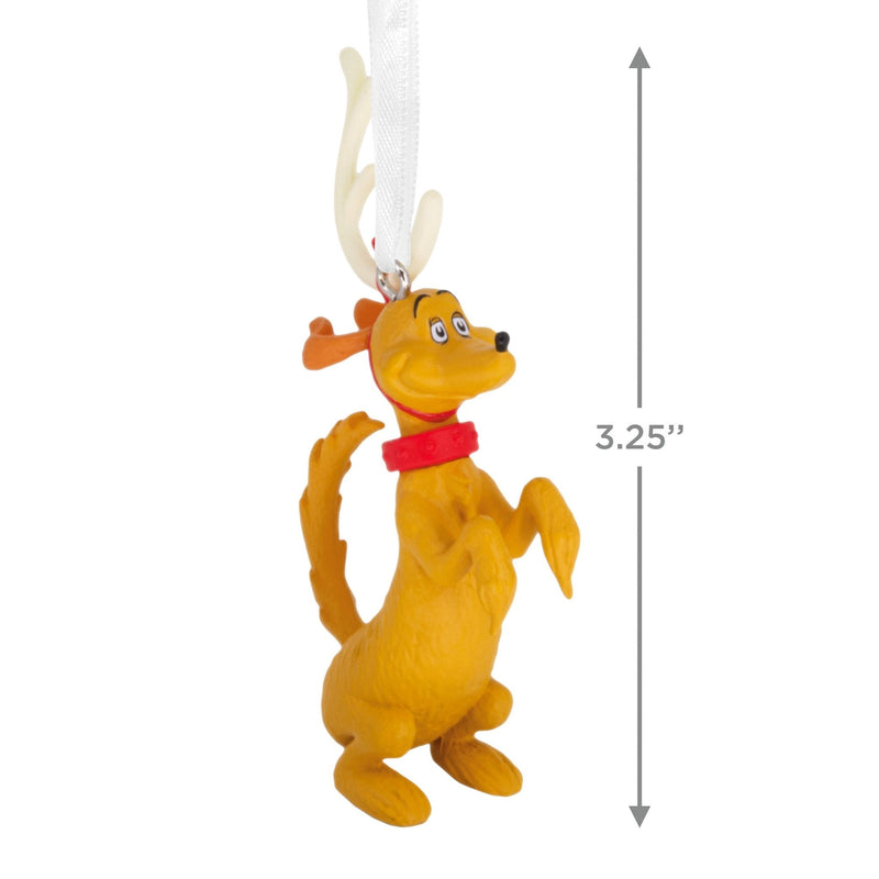 ORNAMENT TPR MAX - Farmacias Arrocha