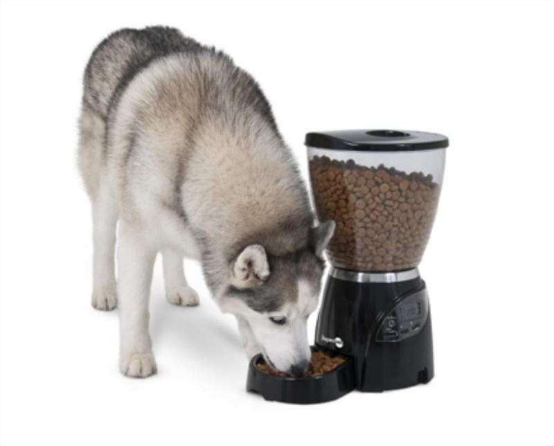 Aspen Pet Dispensador Programable De Alimento - 30 Tazas - Farmacias Arrocha