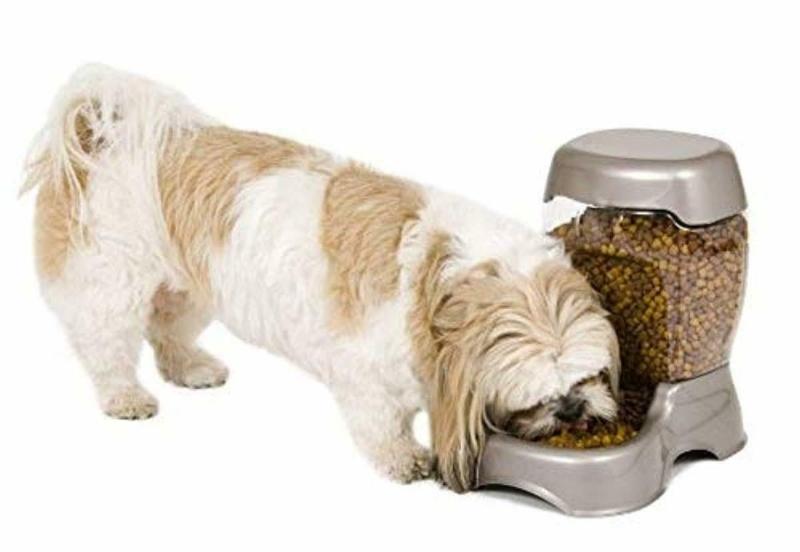 Petmate Dispensador De Alimento - 6Lb - Farmacias Arrocha