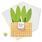Hallmark Plant - Farmacias Arrocha