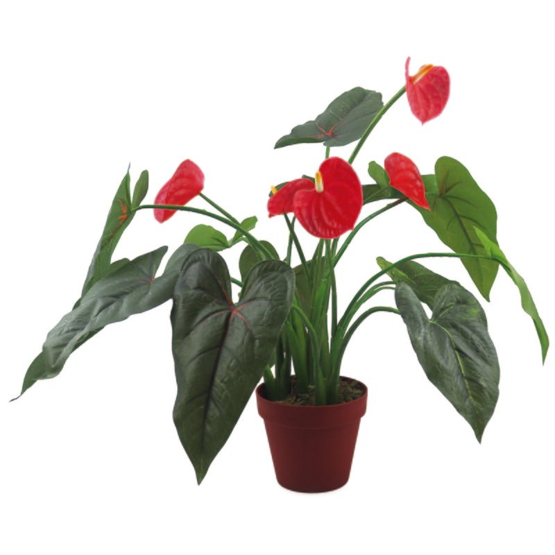 Aria Planta Artificial Anthurium 55Cm - Farmacias Arrocha